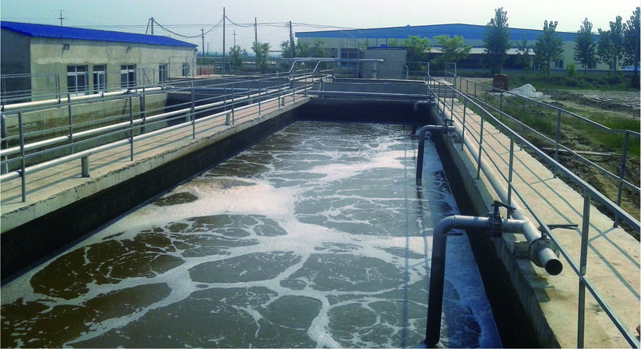 夏津秦发禽业公司污水处置站交钥匙工程