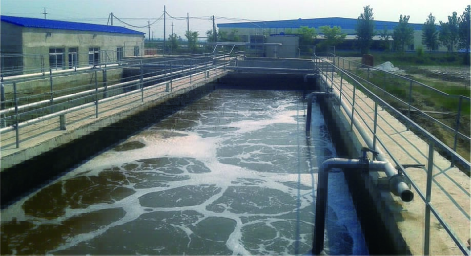 夏津秦发禽业公司污水处理站交钥匙工程
